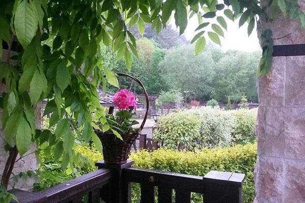 Guest House Pekliuk Gulubovtsi Ngoại thất bức ảnh